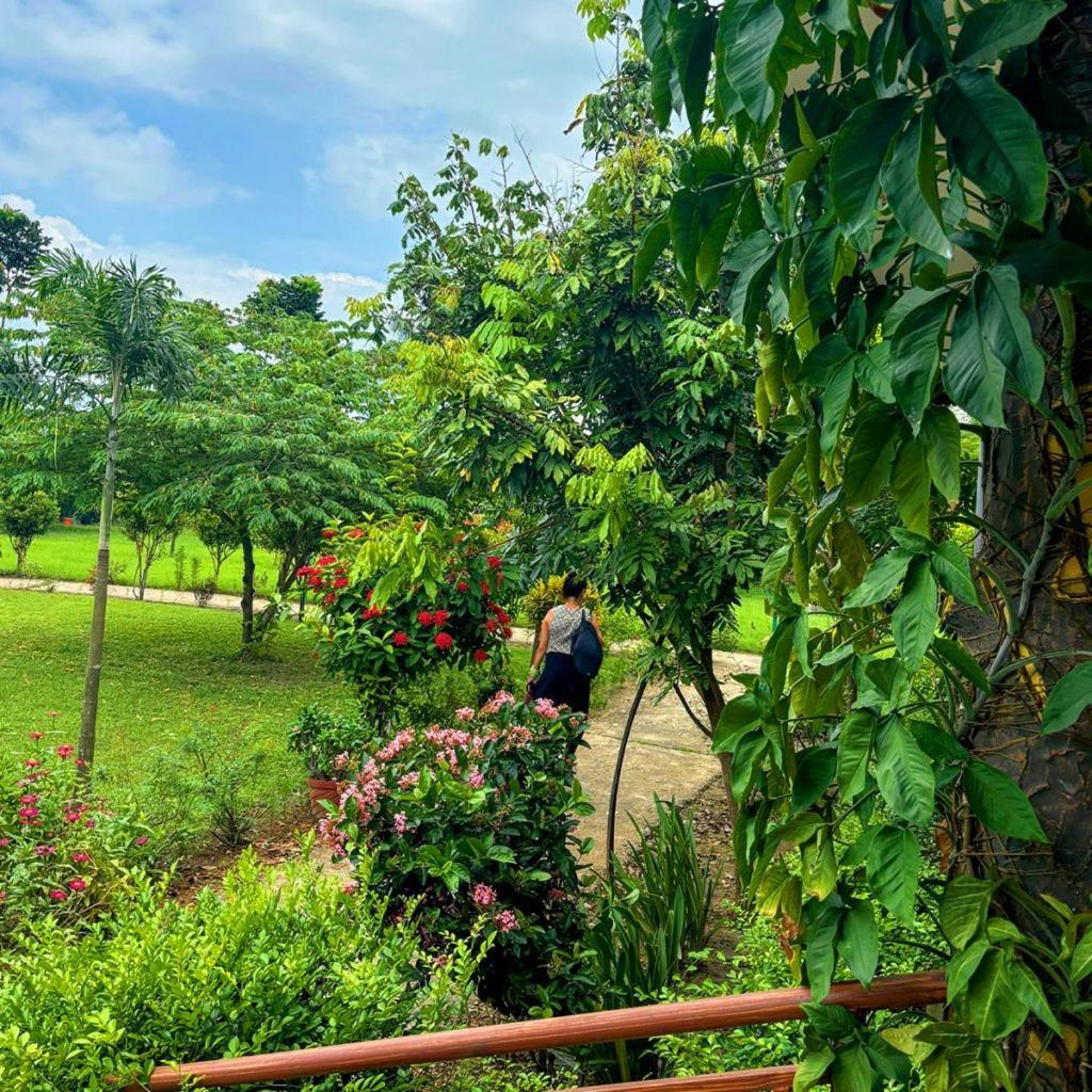 Hotel Greenland Safari Sauraha Exterior foto